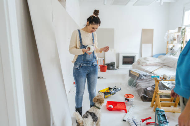 Best Drywall Sanding and Smoothing  in New Holstein, WI